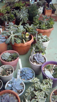 今日も整列！ 2011/12/20 11:14:02
