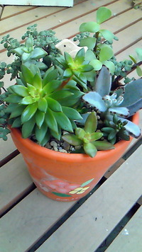 いい天気。。。だけど寒い 2011/12/27 13:10:02