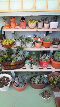 腰が・・・ 2011/12/29 17:43:29