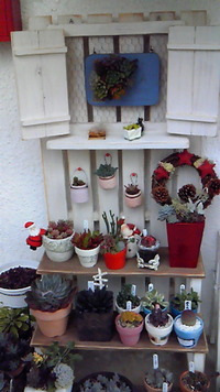 すごいです！ 2012/01/26 12:40:35