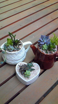 寒い中・・・ 2012/02/03 11:32:22