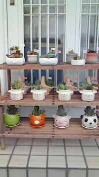 納品♪ 2012/02/09 12:29:28