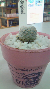 サボさん♪ 2012/02/21 15:42:58