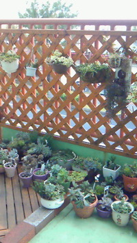 大雨。。。 2012/02/23 13:19:13