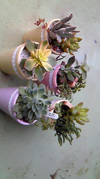 お庭市、参加します♪ 2012/03/01 10:56:21