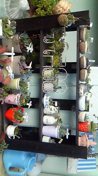 ありがとうございました 2012/03/05 11:14:05