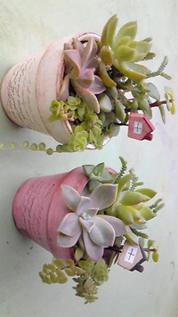 プレゼント♪ 2012/03/14 14:08:09