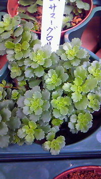 モリモリ♪ 2012/04/21 10:48:59