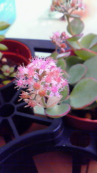 家庭訪問♪ 2012/04/24 10:33:20