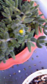 どしゃ降り〜(￣□￣;)!! 2012/05/02 08:32:12