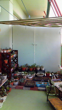 ベランダ掃除！ 2012/06/06 18:07:56