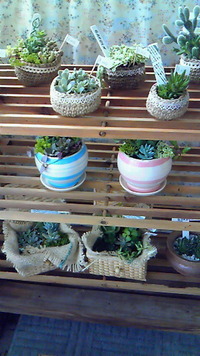 納品♪ 2012/06/13 17:37:57