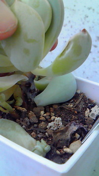 ショック(-ﾛ-;) 2012/06/27 22:56:11