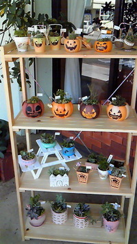 新しい納品先♪ 2012/10/04 23:14:09