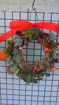 納品♪ 2012/12/10 08:37:28