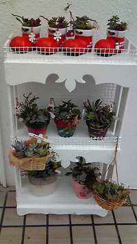 ラッキー＼(^O^)／ 2012/12/10 16:09:14