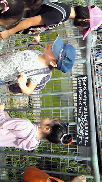 こどもの国 2012/05/04 11:58:47