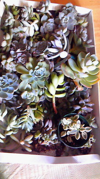 お預け…(-ﾛ-;) 2012/10/20 11:35:04