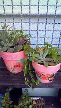 あいにくの…雨(-ﾛ-;) 2012/11/22 08:23:39