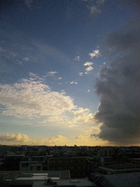 涼しい〜朝^^ 2010/07/03 06:52:44