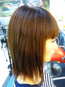 ロイヤリティフリー髪型 ミディアム ストレート シャギー 最高のヘアスタイルのアイデア