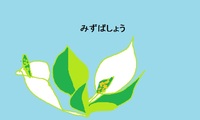 ｢夏の思い出」 2011/05/23 23:28:39