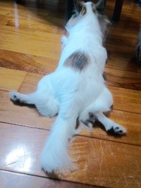 あつい・・・ 2011/06/09 20:35:05