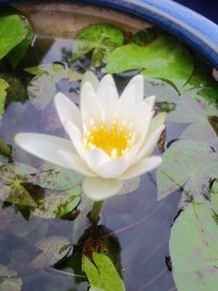 2011年10月21日
