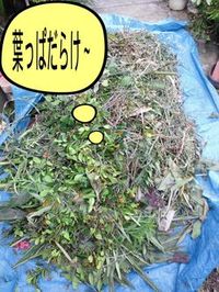 一歩一歩・・・ 2011/05/31 00:44:24