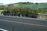 アワセゴルフ場跡地