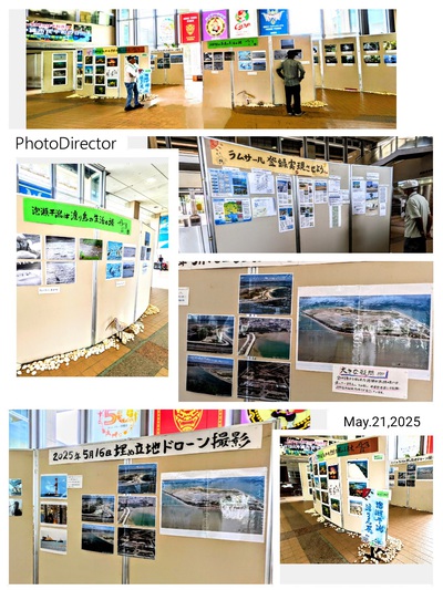 泡瀬干潟渡り鳥展開催中！