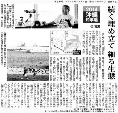 朝日新聞に泡瀬干潟の紹介記事！