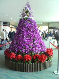 那覇空港にいます。 2010/11/27 13:34:42