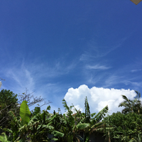 チーム♪ 2015/09/02 10:47:05