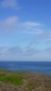 沖縄恩納村今日の海 2009/07/12 09:54:22