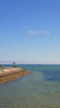 沖縄恩納村今日の海 2009/07/30 08:27:44