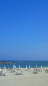 沖縄恩納村今日の海況 2009/08/01 08:25:37