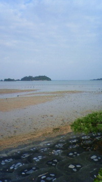 沖縄恩納村今日の海 2009/08/12 08:06:09