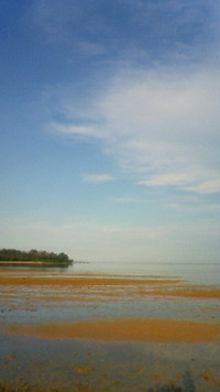 沖縄恩納村今日の海 2009/08/25 08:09:49