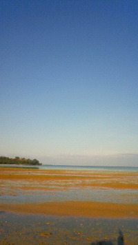 沖縄恩納村今日の海 2009/08/29 07:25:17