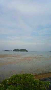 沖縄恩納村今日の海 2009/09/15 08:24:41