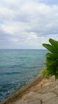沖縄恩納村今日の海 2009/12/06 10:19:29