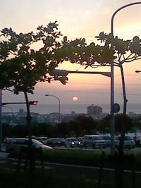 いい天気(^_^) 2010/04/17 22:18:59