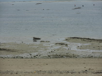 　　　海だぁ～湧水だぁ～　(浜下り・旧暦三月三日）