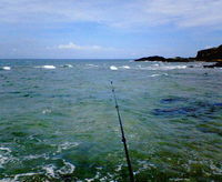 今日もボウズ・・ 2010/08/11 13:08:50