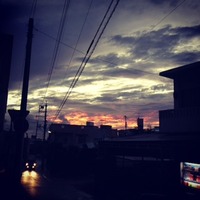 左下に猫バス！てちがうかー＼(^o^)／笑 2011/11/29 18:14:17