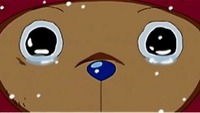 now.... 2011/12/17 00:56:31