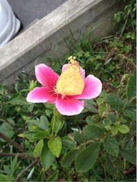 んー(￣ー￣)太陽出れしー寒いんだけど！ 2011/12/17 14:35:23