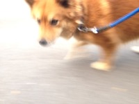  もう少しで今年も終わるんやなー早いな！ 2011/12/21 17:31:24