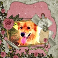  iphoneってこんなこともできちゃう＼(^o^)／わっしょい！ 2011/11/05 12:30:33